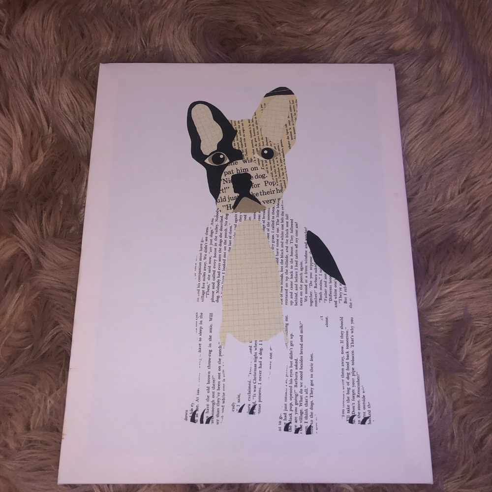 newspaper dog picture